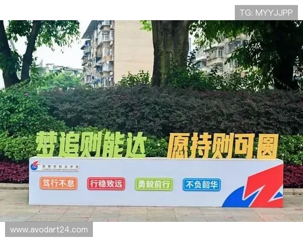 必赢的行动指南：逐步落实计划确保每一步都走得坚实有力